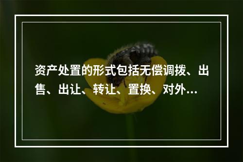 资产处置的形式包括无偿调拨、出售、出让、转让、置换、对外捐赠