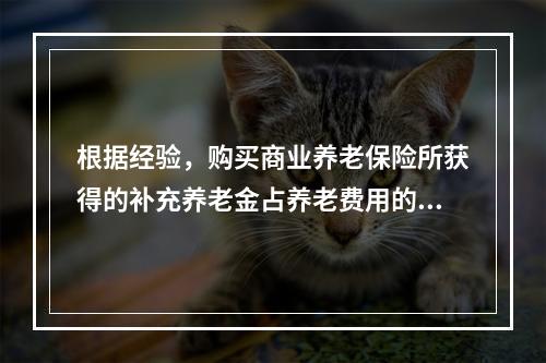 根据经验，购买商业养老保险所获得的补充养老金占养老费用的（