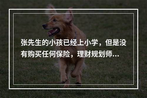 张先生的小孩已经上小学，但是没有购买任何保险，理财规划师需要