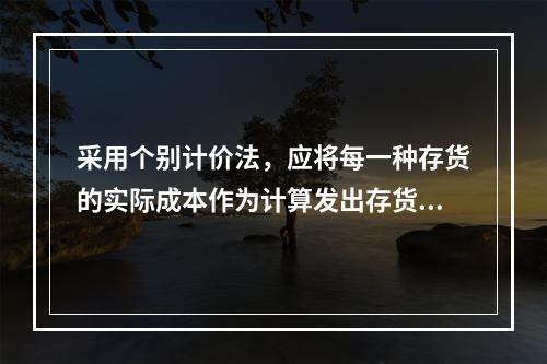 采用个别计价法，应将每一种存货的实际成本作为计算发出存货成本