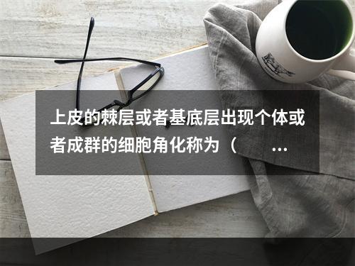 上皮的棘层或者基底层出现个体或者成群的细胞角化称为（　　）。