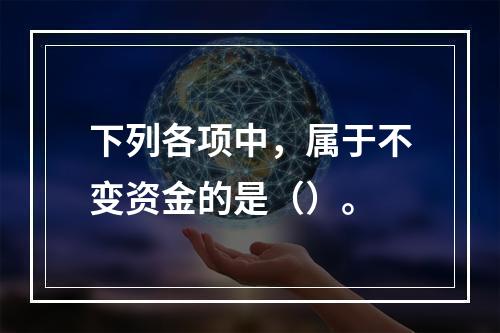 下列各项中，属于不变资金的是（）。