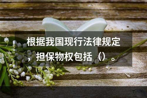 根据我国现行法律规定，担保物权包括（）。