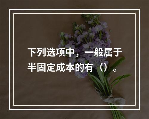 下列选项中，一般属于半固定成本的有（）。