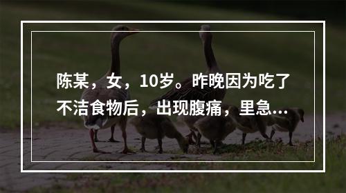 陈某，女，10岁。昨晚因为吃了不洁食物后，出现腹痛，里急后重