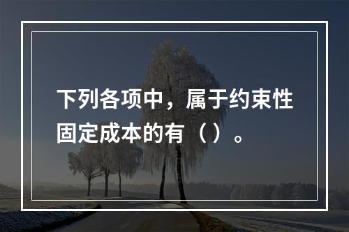 下列各项中，属于约束性固定成本的有（ ）。