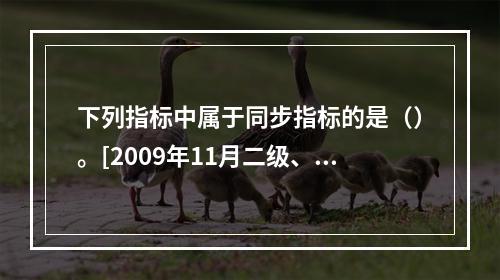 下列指标中属于同步指标的是（）。[2009年11月二级、三级