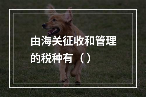 由海关征收和管理的税种有（ ）