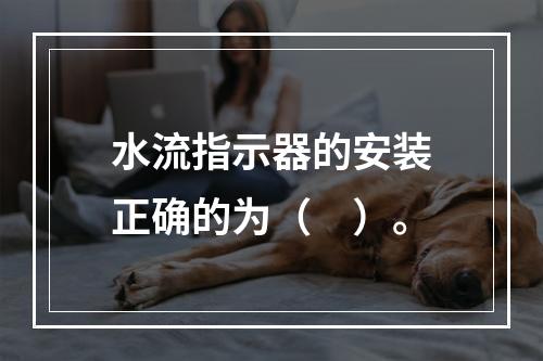 水流指示器的安装正确的为（　）。