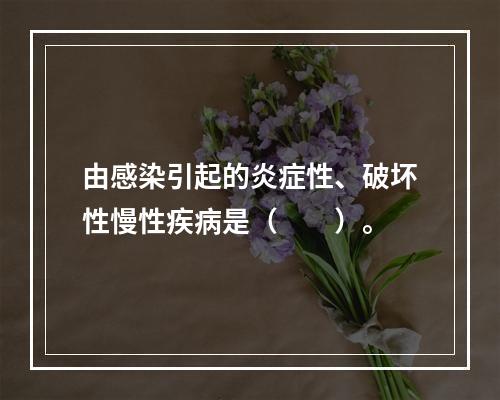 由感染引起的炎症性、破坏性慢性疾病是（　　）。