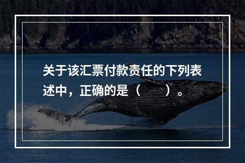 关于该汇票付款责任的下列表述中，正确的是（　　）。