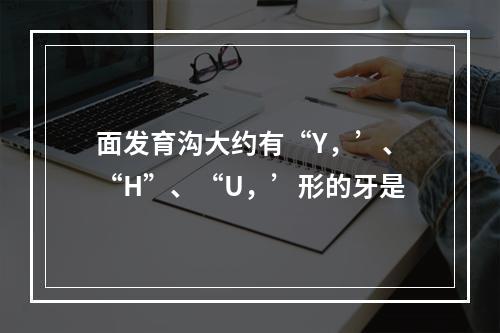 面发育沟大约有“Y，’、“H”、“U，’形的牙是