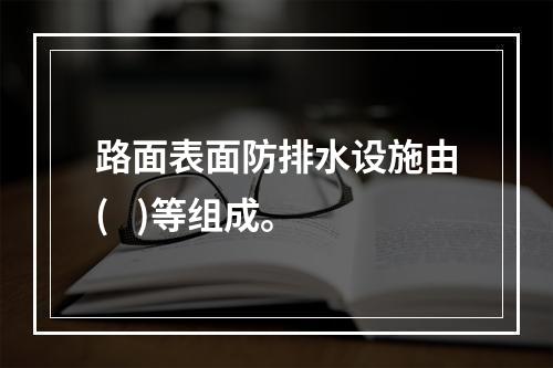 路面表面防排水设施由(   )等组成。