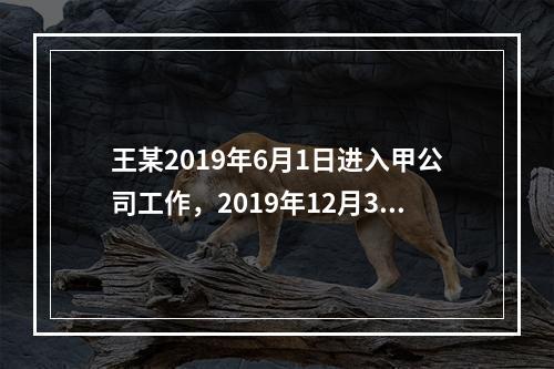 王某2019年6月1日进入甲公司工作，2019年12月31日