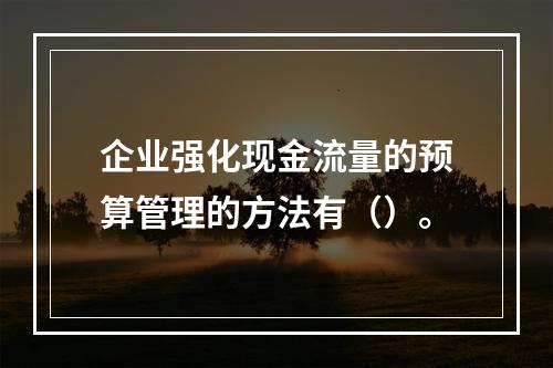 企业强化现金流量的预算管理的方法有（）。