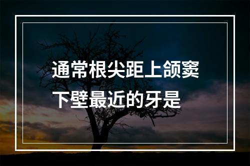 通常根尖距上颌窦下壁最近的牙是