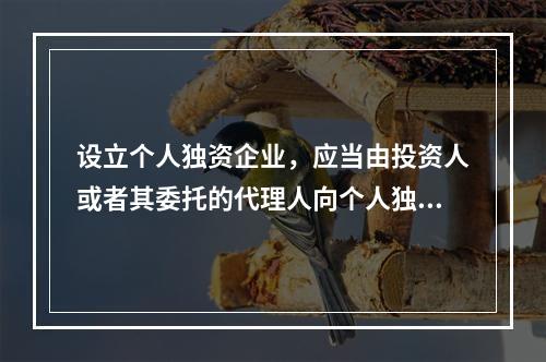 设立个人独资企业，应当由投资人或者其委托的代理人向个人独资企