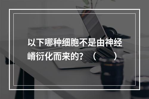 以下哪种细胞不是由神经嵴衍化而来的？（　　）