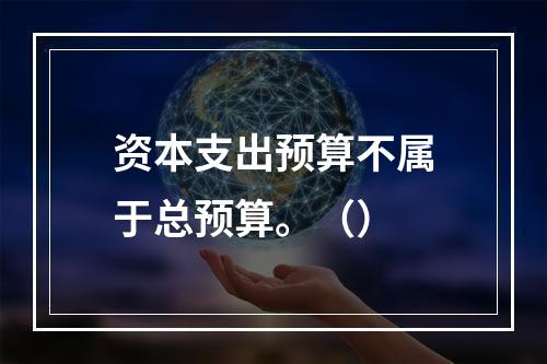 资本支出预算不属于总预算。（）