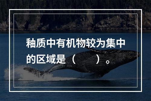 釉质中有机物较为集中的区域是（　　）。