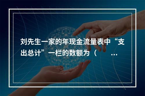 刘先生一家的年现金流量表中“支出总计”一栏的数额为（　　）元