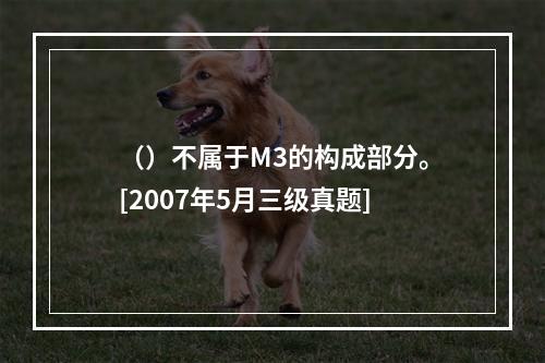 （）不属于M3的构成部分。[2007年5月三级真题]