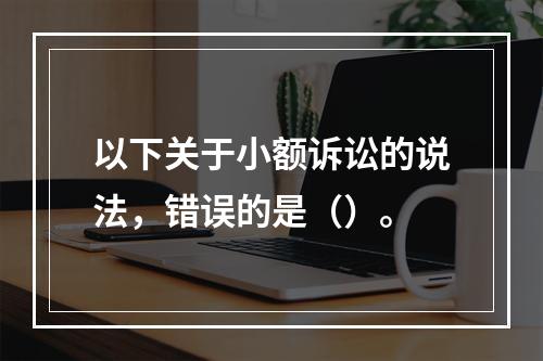 以下关于小额诉讼的说法，错误的是（）。