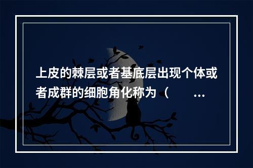 上皮的棘层或者基底层出现个体或者成群的细胞角化称为（　　）。