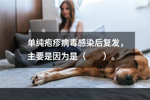 单纯疱疹病毒感染后复发，主要是因为是（　　）。