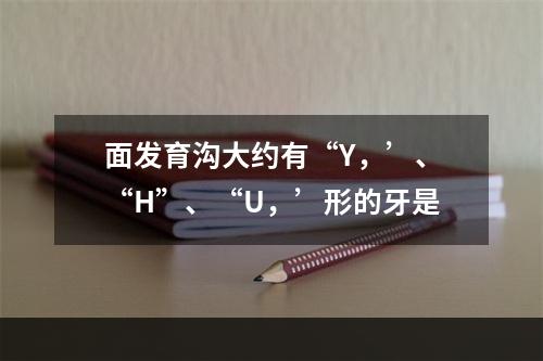 面发育沟大约有“Y，’、“H”、“U，’形的牙是