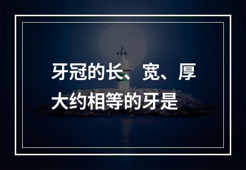 牙冠的长、宽、厚大约相等的牙是