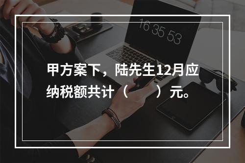 甲方案下，陆先生12月应纳税额共计（　　）元。