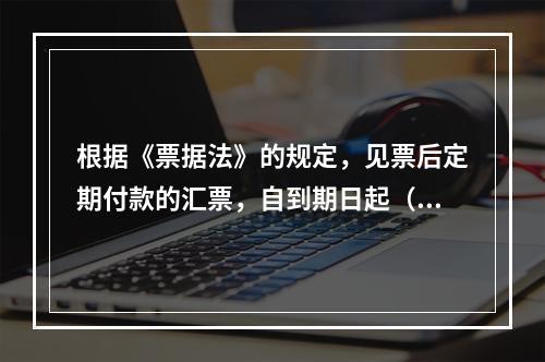 根据《票据法》的规定，见票后定期付款的汇票，自到期日起（　）