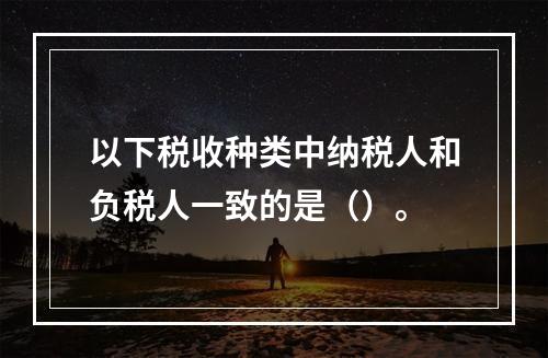 以下税收种类中纳税人和负税人一致的是（）。