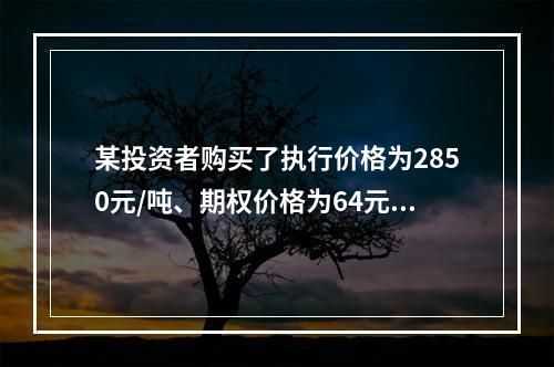 某投资者购买了执行价格为2850元/吨、期权价格为64元/吨