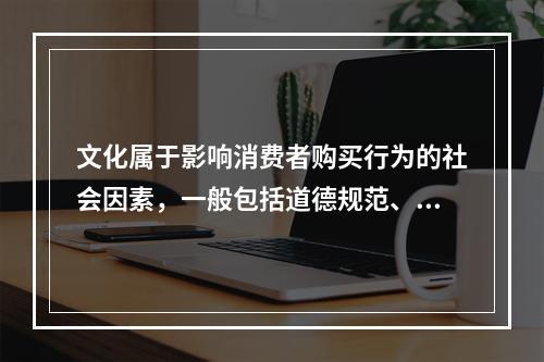 文化属于影响消费者购买行为的社会因素，一般包括道德规范、教育