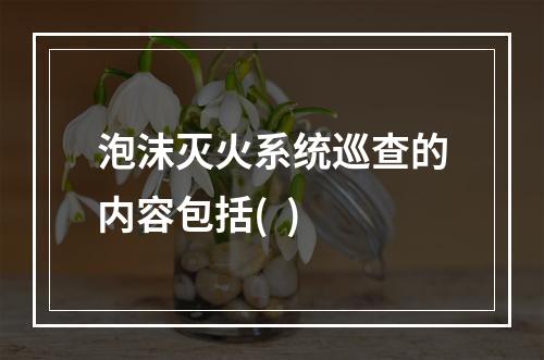 泡沫灭火系统巡查的内容包括(  )