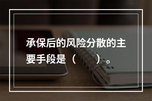 承保后的风险分散的主要手段是（　　）。