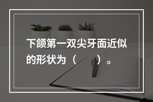 下颌第一双尖牙面近似的形状为（　　）。