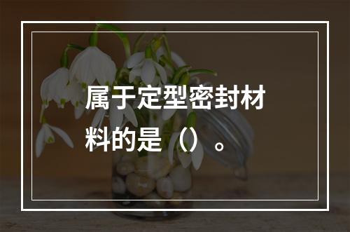 属于定型密封材料的是（）。