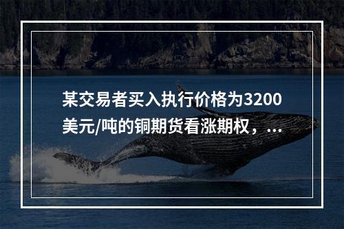 某交易者买入执行价格为3200美元/吨的铜期货看涨期权，当标