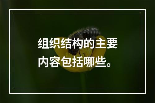 组织结构的主要内容包括哪些。