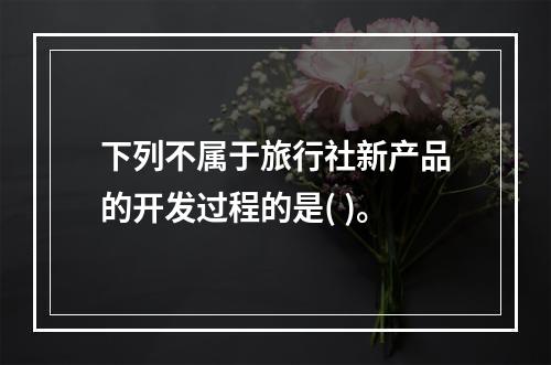 下列不属于旅行社新产品的开发过程的是( )。