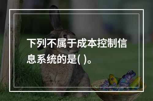 下列不属于成本控制信息系统的是( )。