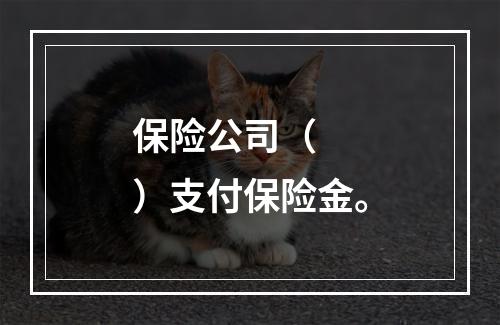 保险公司（　　）支付保险金。