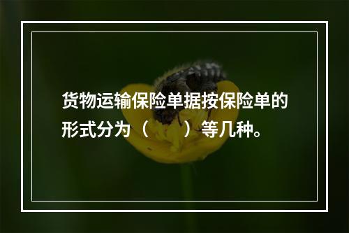 货物运输保险单据按保险单的形式分为（　　）等几种。