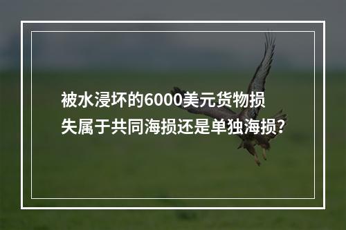 被水浸坏的6000美元货物损失属于共同海损还是单独海损？