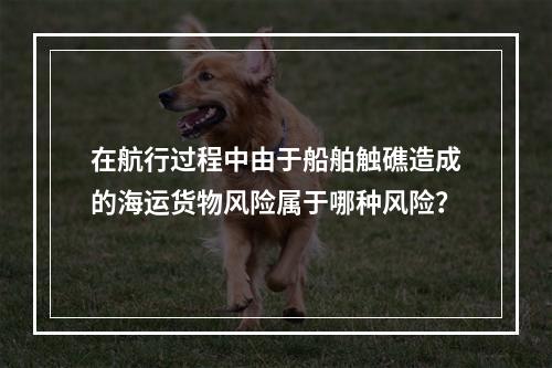 在航行过程中由于船舶触礁造成的海运货物风险属于哪种风险？