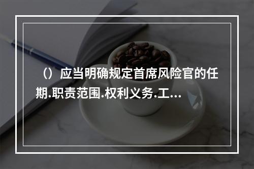 （）应当明确规定首席风险官的任期.职责范围.权利义务.工作报