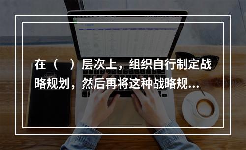 在（　）层次上，组织自行制定战略规划，然后再将这种战略规划